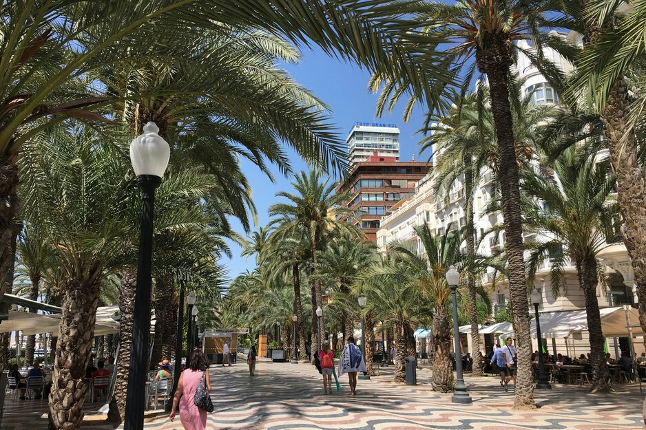 Palmengesäumte Promenade in Alicante | © Unsplash