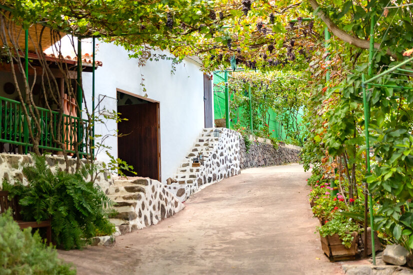 Gasse mit Weinreben überwachsen | © Envato Elements Gasse mit Weinreben überwachsen | © Envato Elements