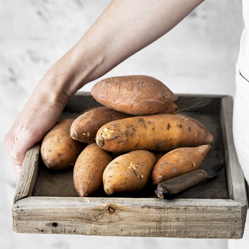 Süßkartoffeln auf Tablett | © Envato Elements Süßkartoffeln auf Tablett | © Envato Elements