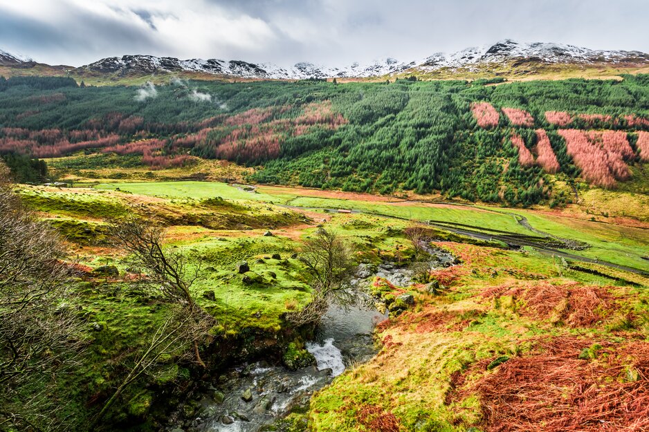 Schottisches herbstliches Tal mit verschneiten Bergen im Hintergrund | © Envato