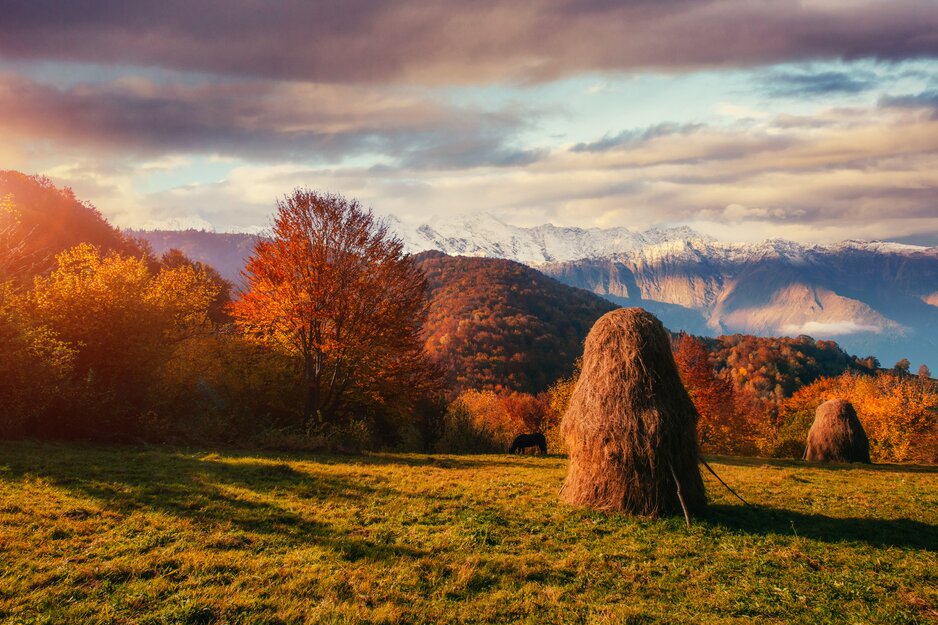 Herbstliche Wälder mit verschneiter Gebirgskette in den Karpaten | © Envato Elements